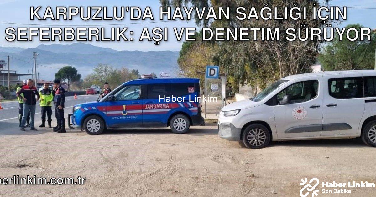 "Karpuzlu'da Hayvan Sağlığı İçin Seferberlik: Aşı ve Denetim Sürüyor" başlıklı haber için fotorealis