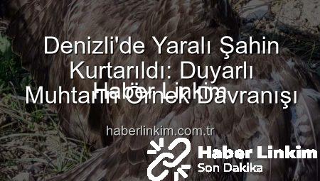 Denizli’de Yaralı Şahin Kurtarıldı: Duyarlı Muhtarın Örnek Davranışı