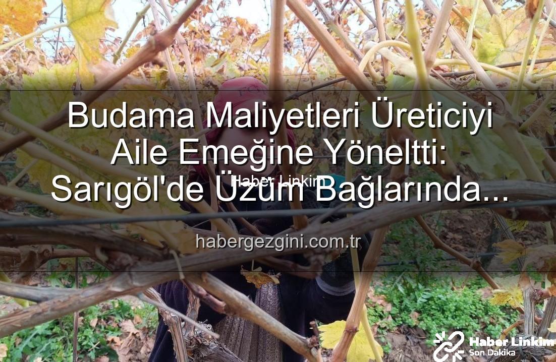 budama maliyeti - Üzüm Bağlarında Budama Maliyeti Cep Yakıyor: Üreticiler Ailece İş Başında
