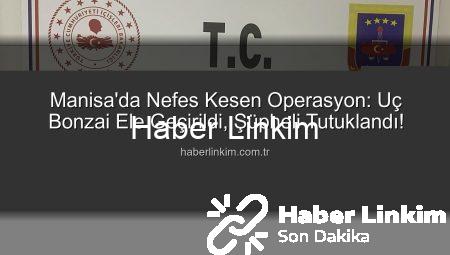 Manisa’da Nefes Kesen Operasyon: Uç Bonzai Ele Geçirildi, Şüpheli Tutuklandı!