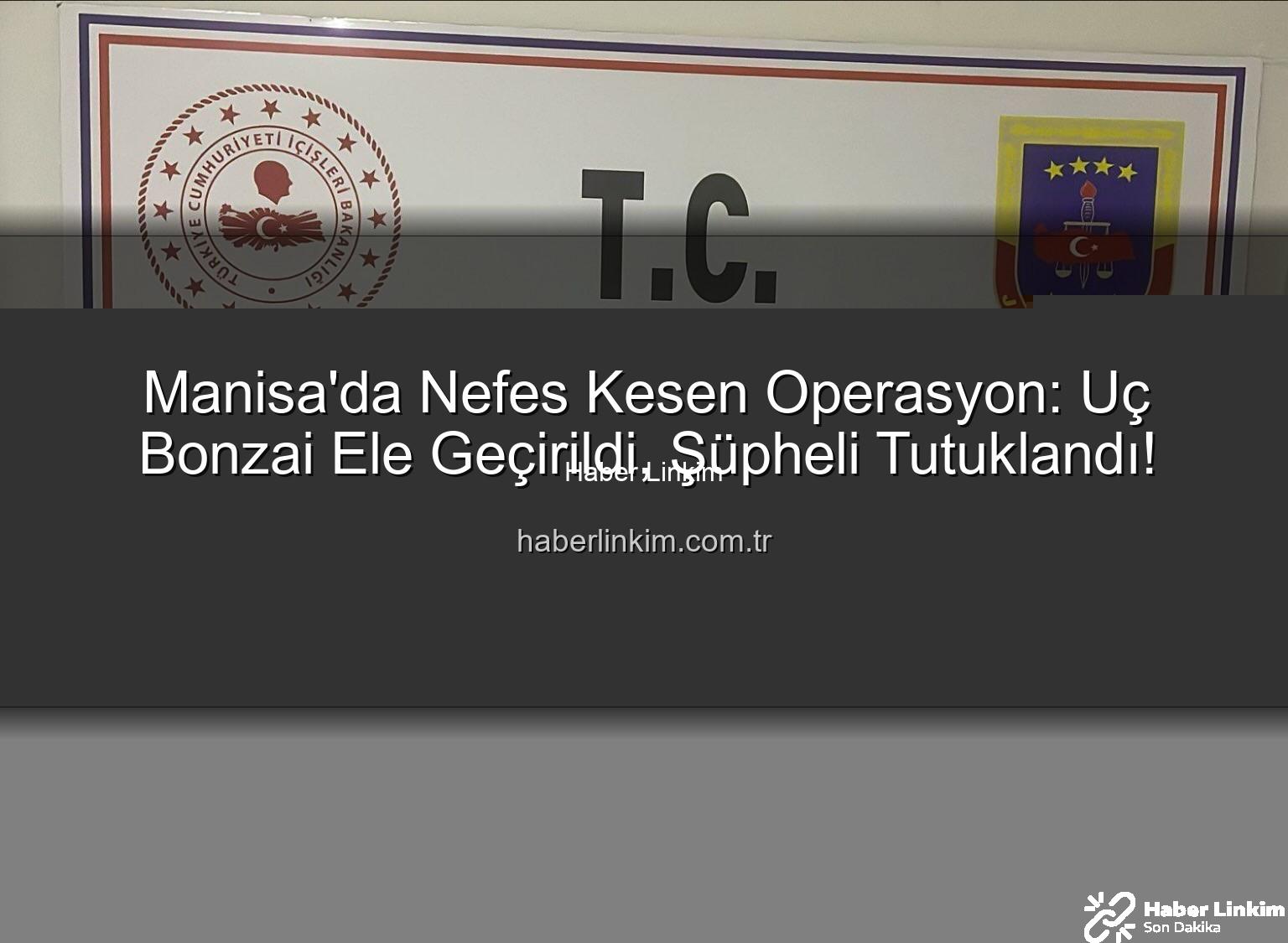 uç bonzai - Manisa'da Nefes Kesen Operasyon: Uç Bonzai Ele Geçirildi, Şüpheli Tutuklandı!