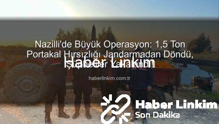Nazilli’de Büyük Operasyon: 1,5 Ton Portakal Hırsızlığı Jandarmadan Döndü, Şüpheliler Yakalandı!