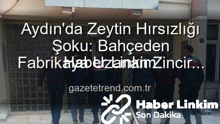 Aydın’da Zeytin Hırsızlığı Şoku: Bahçeden Çalınan Ürünler Fabrikada Ele Geçirildi, 2 Şüpheli Yakalandı