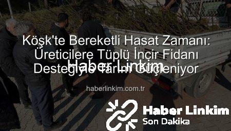 Köşk’te Bereketli Hasat Zamanı: Üreticilere Tüplü İncir Fidanı Desteğiyle Tarım Güçleniyor