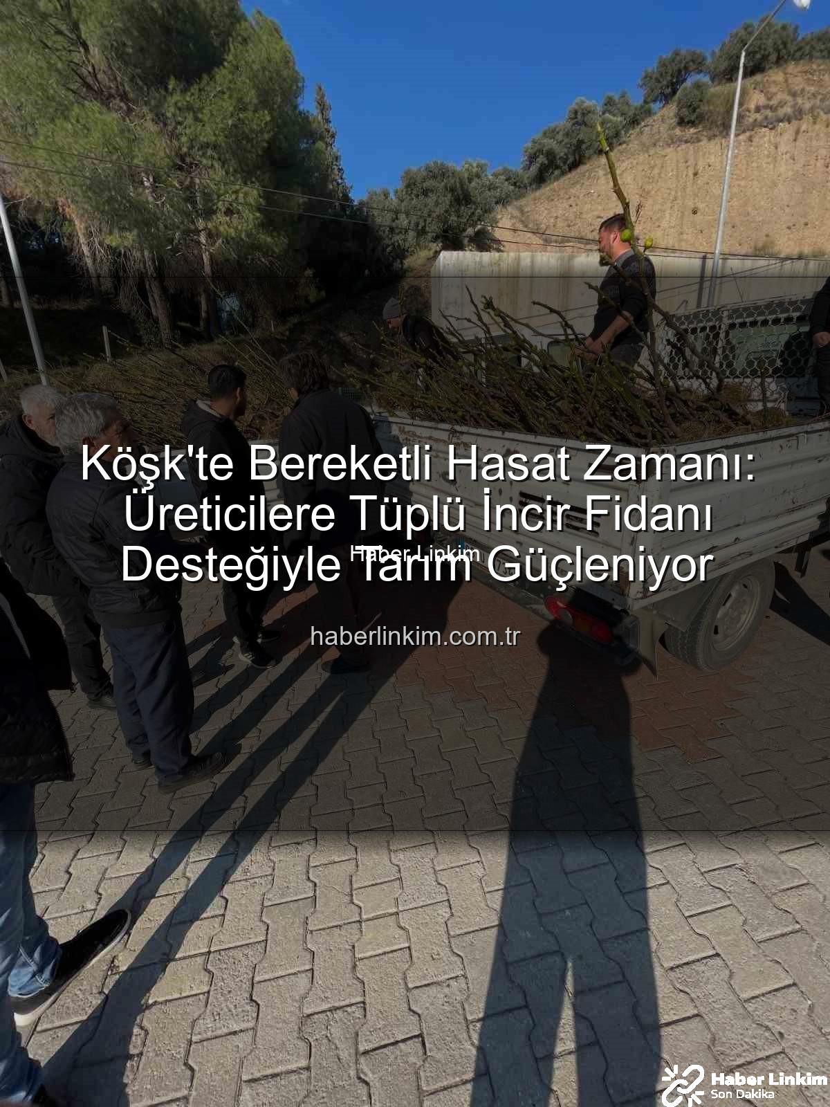 tüplü incir fidanı - Köşk'te Bereketli Hasat Zamanı: Üreticilere Tüplü İncir Fidanı Desteğiyle Tarım Güçleniyor