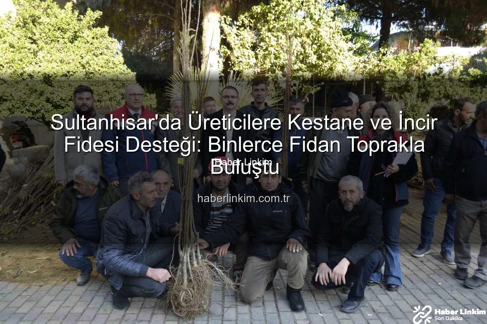 kestane incir fidesi - Sultanhisar'da Üreticilere Kestane ve İncir Fidesi Desteği: Binlerce Fidan Toprakla Buluştu