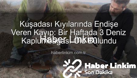 Kuşadası Kıyılarında Endişe Veren Kayıp: Bir Haftada 3 Deniz Kaplumbağası Ölü Bulundu