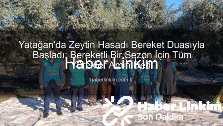 Yatağan’da Zeytin Hasadı Bereket Duasıyla Başladı: Bereketli Bir Sezon İçin Tüm Yürekler Amin Dedi