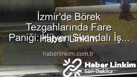 İzmir’de Börek Tezgahlarında Fare Paniği: Hijyen Skandalı İş Yerini Mühürletti