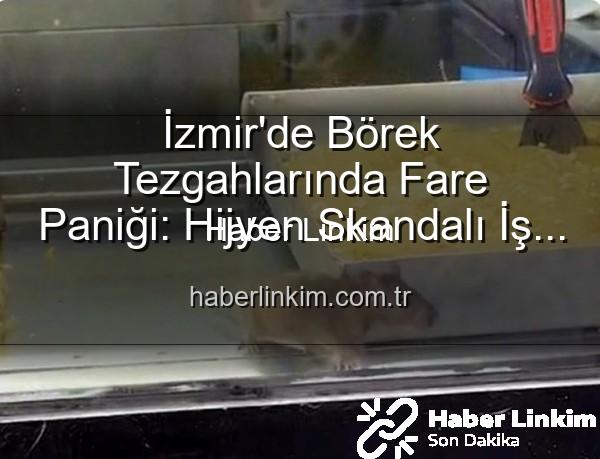börek tezgahında fare - İzmir'de Börek Tezgahlarında Fare Paniği: Hijyen Skandalı İş Yerini Mühürletti