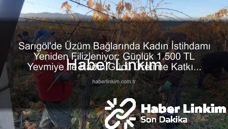 Sarıgöl’de Üzüm Bağlarında Kadın İstihdamı Yeniden Filizleniyor: Günlük 1.500 TL Yevmiye İle Kadın Gücü Üretime Katkı Sağlıyor