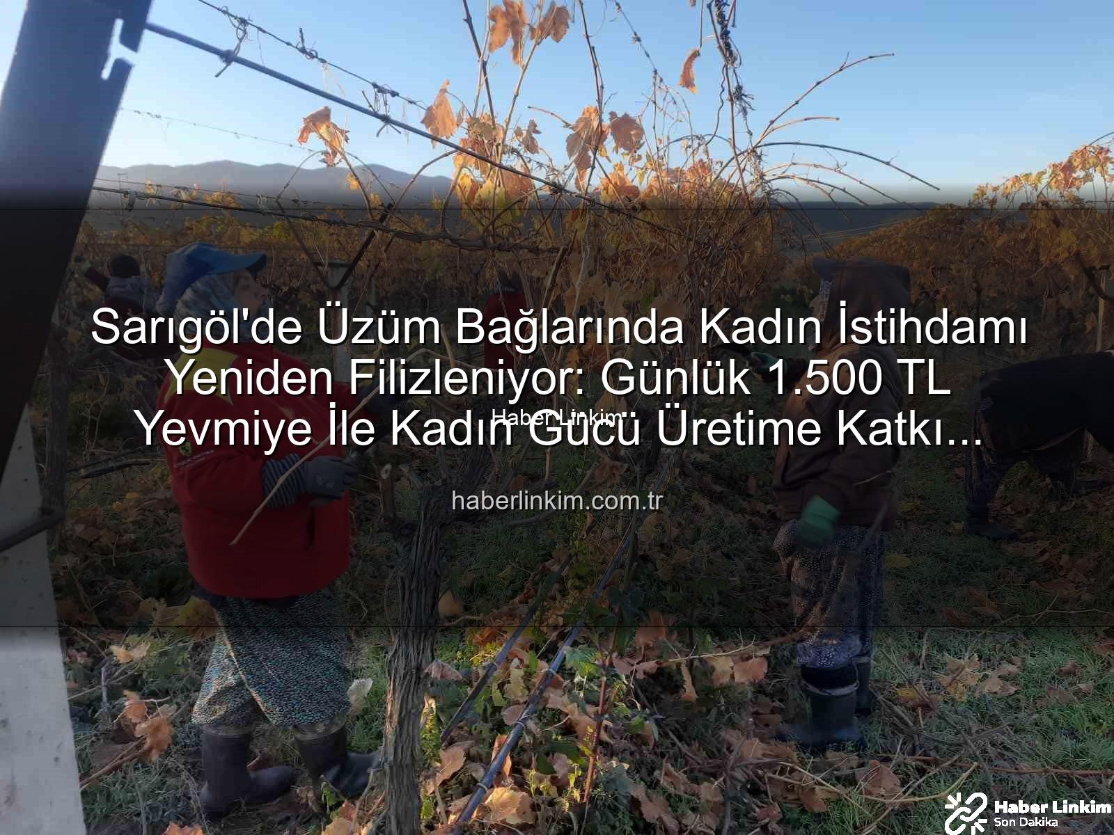 kadın istihdamı - Sarıgöl'de Üzüm Bağlarında Kadın İstihdamı Yeniden Filizleniyor: Günlük 1.500 TL Yevmiye İle Kadın Gücü Üretime Katkı Sağlıyor