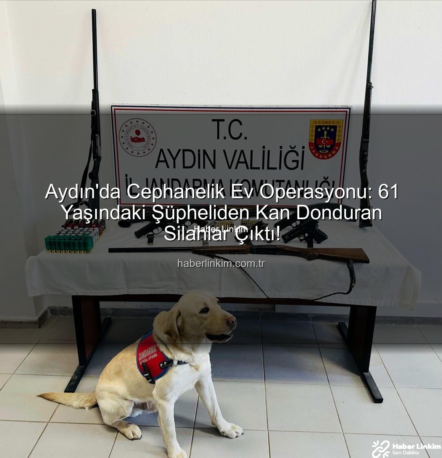 Aydın'da silah operasyonu - Aydın'da Cephanelik Ev Operasyonu: 61 Yaşındaki Şüpheliden Kan Donduran Silahlar Çıktı!