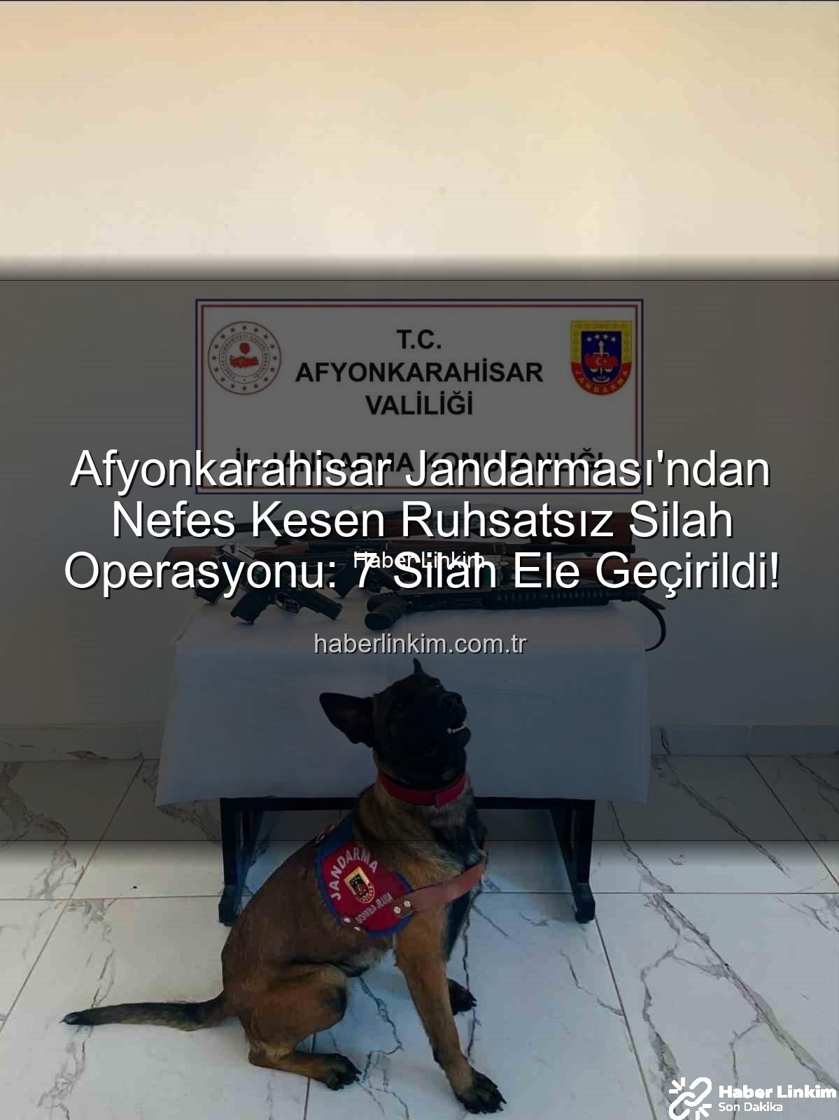 ruhsatsız silah - Afyonkarahisar Jandarması'ndan Nefes Kesen Ruhsatsız Silah Operasyonu: 7 Silah Ele Geçirildi!