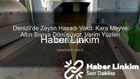 Denizli’de Zeytin Hasadı Vakti: Kara Meyve Altın Sıvıya Dönüşüyor, Verim Yüzleri Güldürüyor