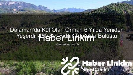 Dalaman’da Kül Olan Orman 6 Yılda Yeniden Yeşerdi: 450 Bin Fidan Toprakla Buluştu