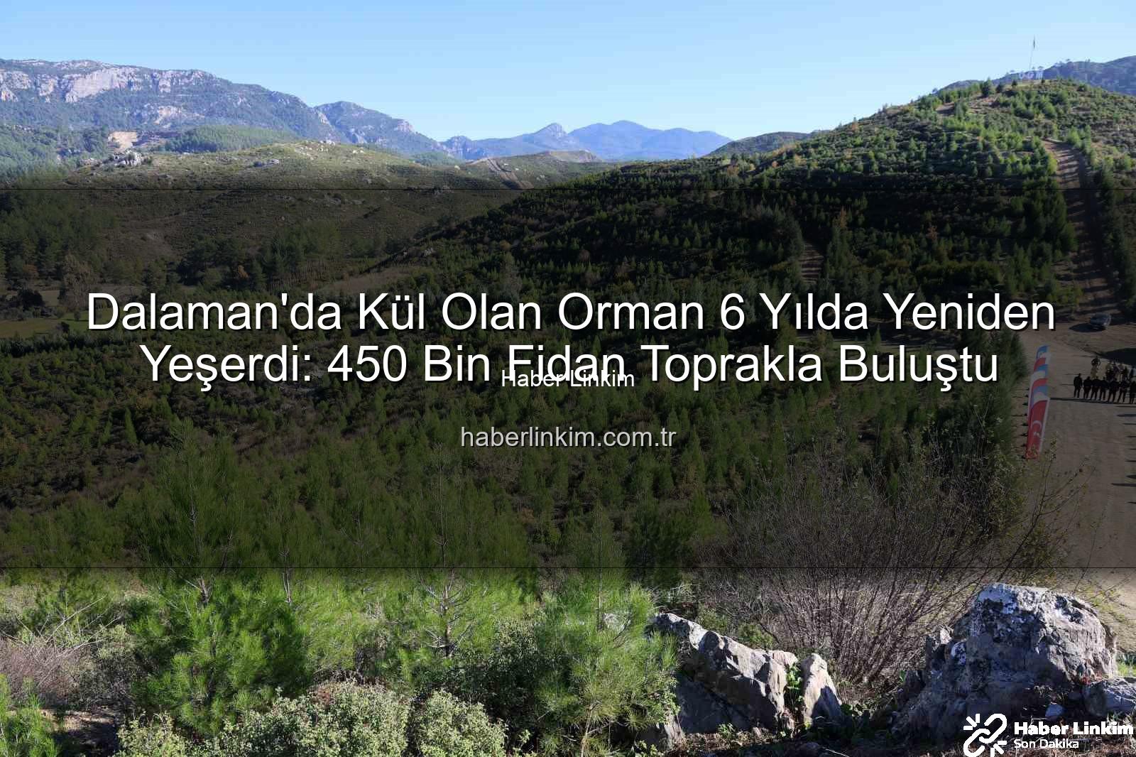 orman yeniden yeşerdi - Dalaman'da Kül Olan Orman 6 Yılda Yeniden Yeşerdi: 450 Bin Fidan Toprakla Buluştu