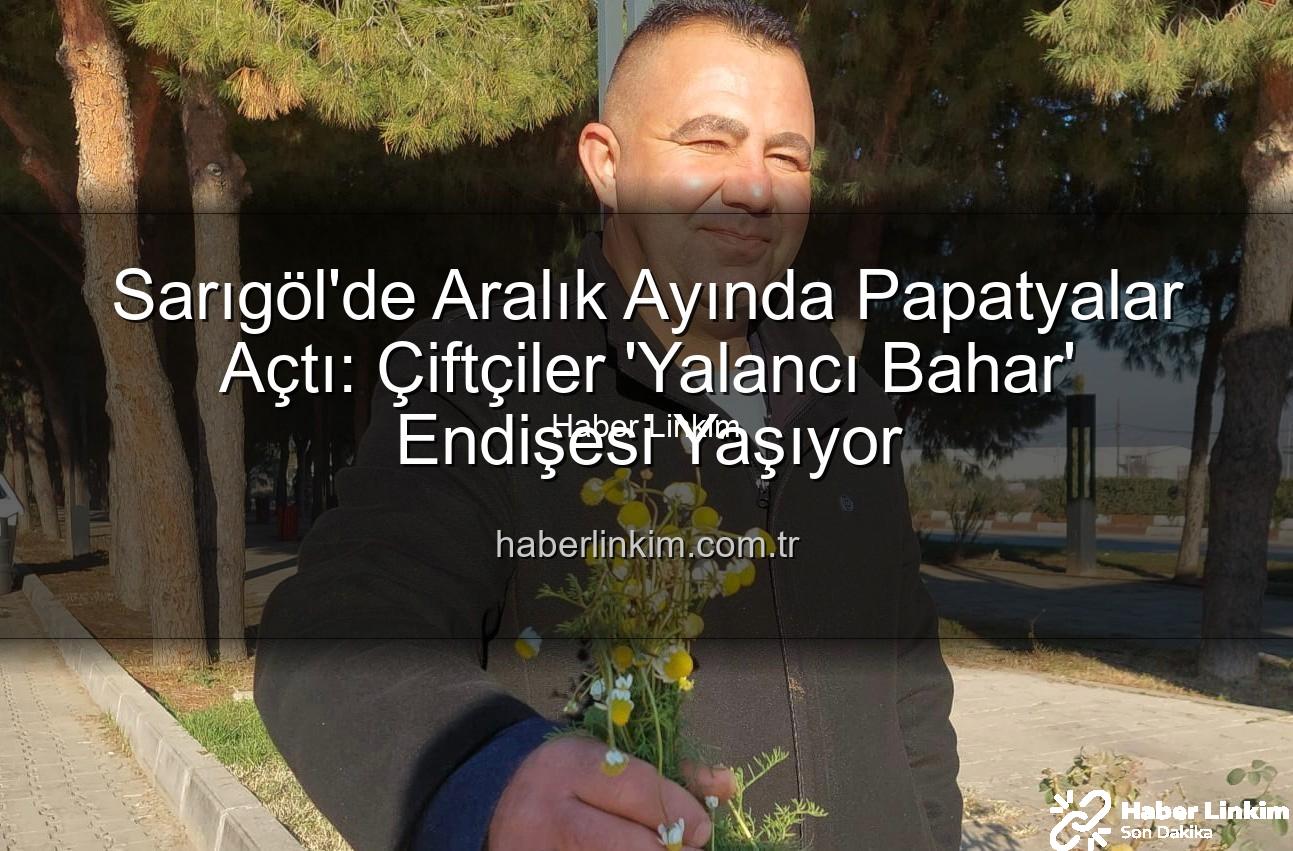 Sarıgöl'de papatyalar - Sarıgöl'de Aralık Ayında Papatyalar Açtı: Çiftçiler 'Yalancı Bahar' Endişesi Yaşıyor