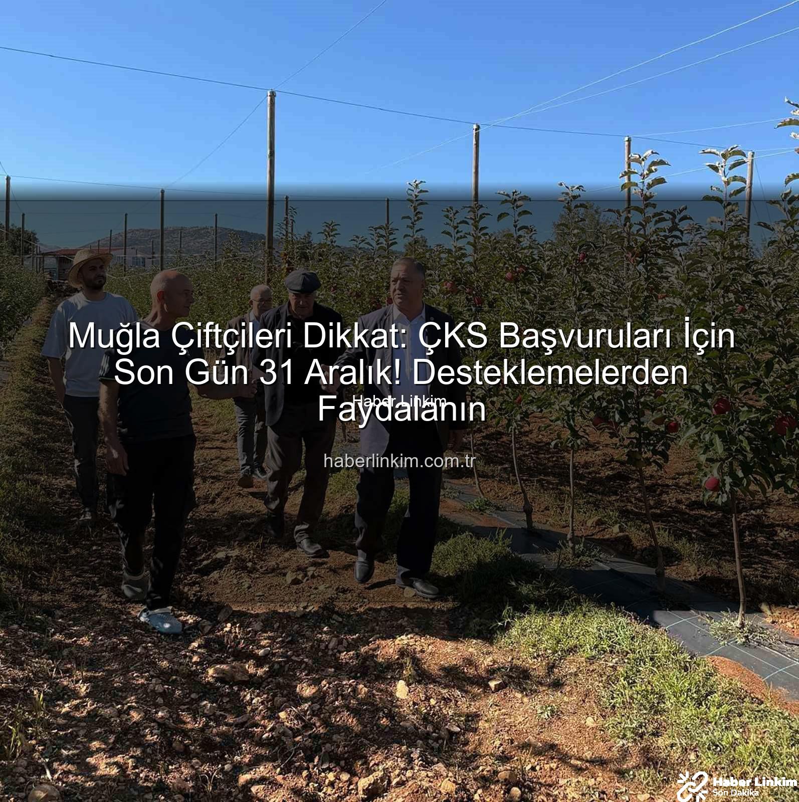 ÇKS başvuruları - Muğla Çiftçileri Dikkat: ÇKS Başvuruları İçin Son Gün 31 Aralık! Desteklemelerden Faydalanın